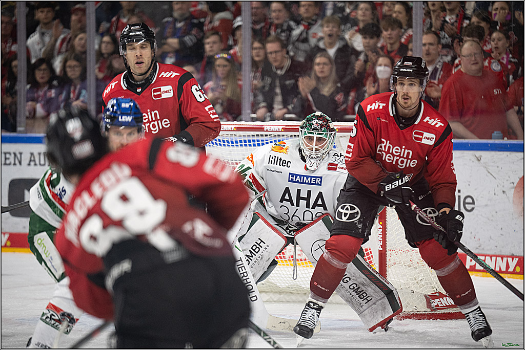 PENNY DEL 1; Kölner Haie - Augsburger Panther; Koeln, 21.11.2025