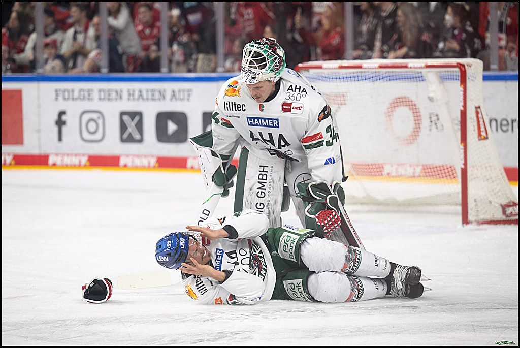 PENNY DEL 1; Kölner Haie - Augsburger Panther; Koeln, 21.11.2025
