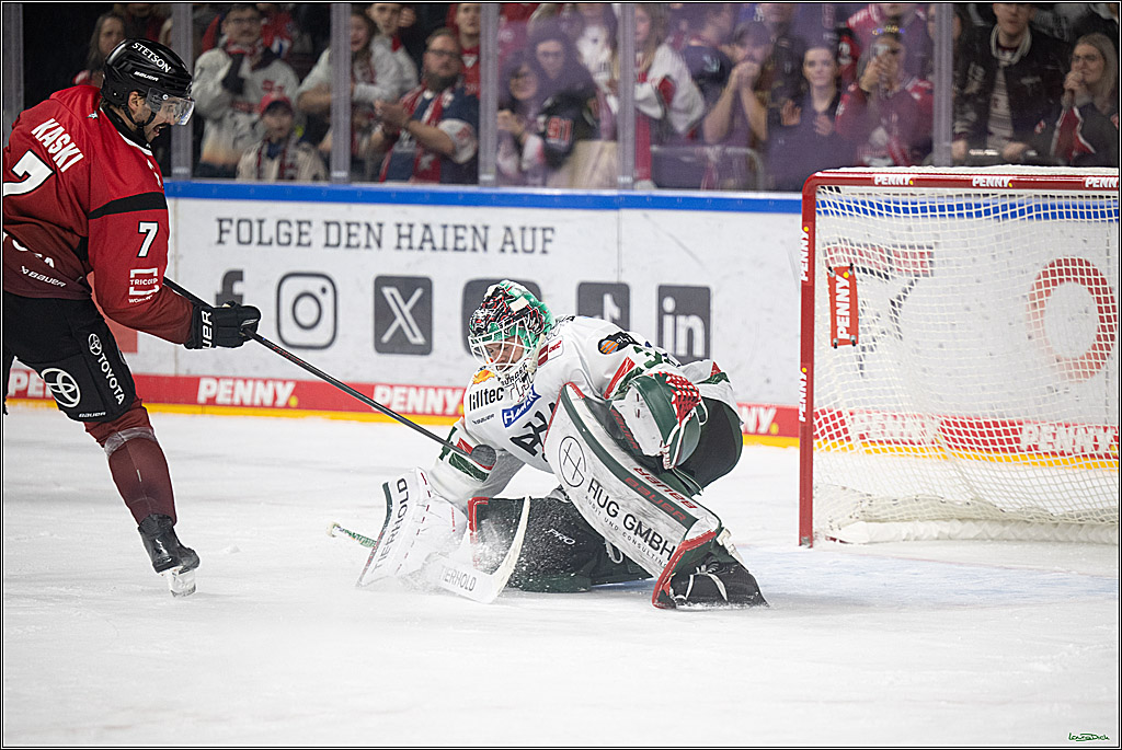 PENNY DEL 1; Kölner Haie - Augsburger Panther; Koeln, 21.11.2025