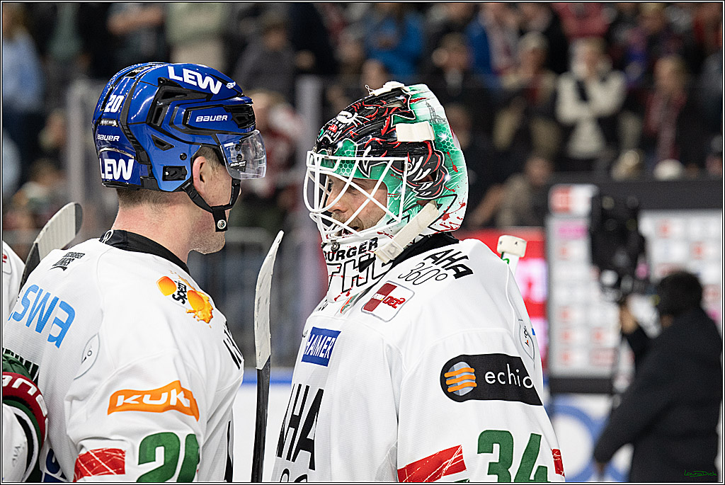 PENNY DEL 1; Kölner Haie - Augsburger Panther; Koeln, 21.11.2025