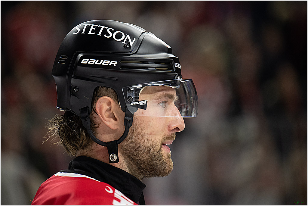 PENNY DEL 1; Kölner Haie - Augsburger Panther; Koeln, 21.11.2025