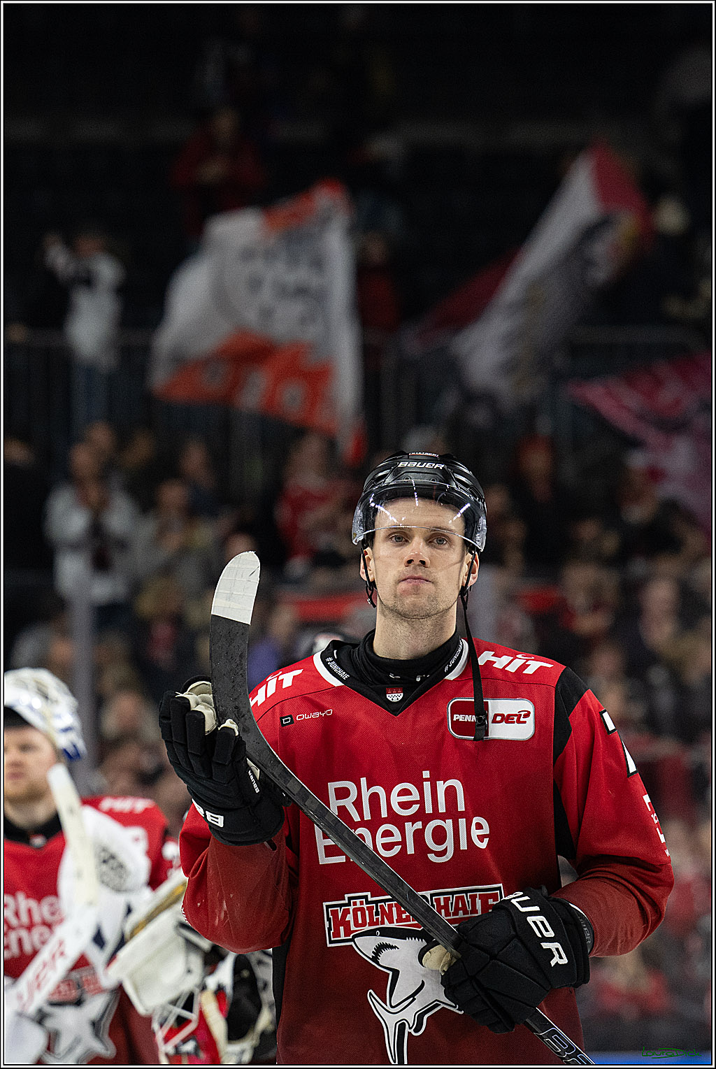 PENNY DEL 1; Kölner Haie - Augsburger Panther; Koeln, 21.11.2025