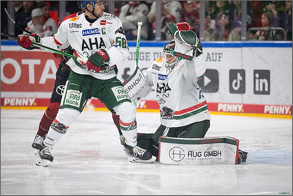 PENNY DEL 1; Kölner Haie - Augsburger Panther; Koeln, 21.11.2025