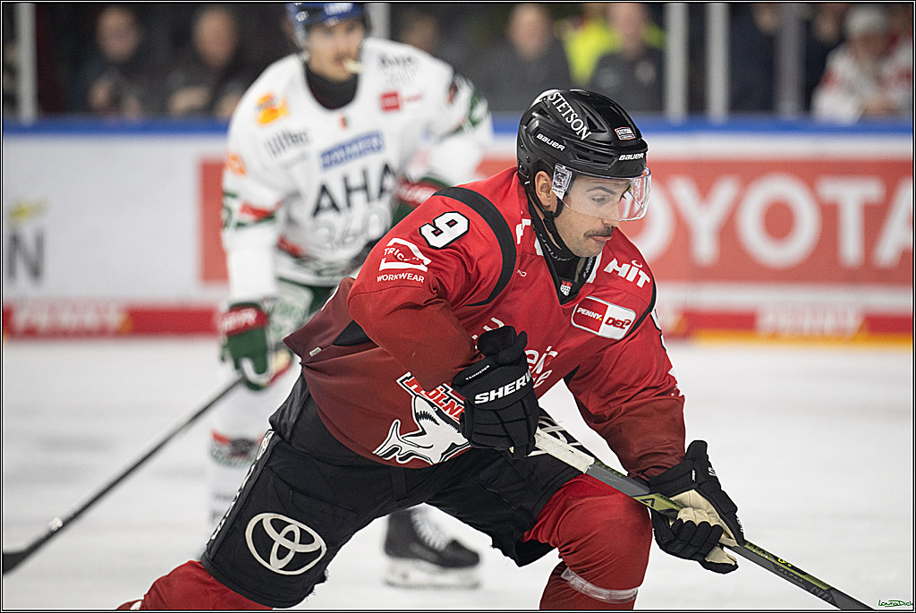 PENNY DEL 1; Kölner Haie - Augsburger Panther; Koeln, 21.11.2025