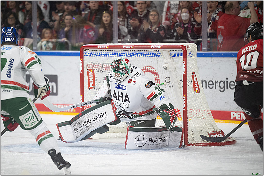 PENNY DEL 1; Kölner Haie - Augsburger Panther; Koeln, 21.11.2025