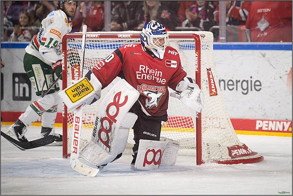PENNY DEL 1; Kölner Haie - Augsburger Panther; Koeln, 21.11.2025