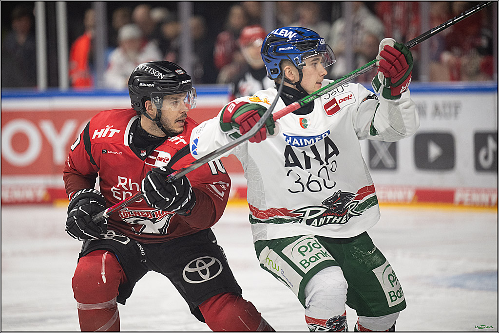 PENNY DEL 1; Kölner Haie - Augsburger Panther; Koeln, 21.11.2025