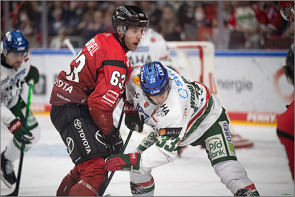 PENNY DEL 1; Kölner Haie - Augsburger Panther; Koeln, 21.11.2025