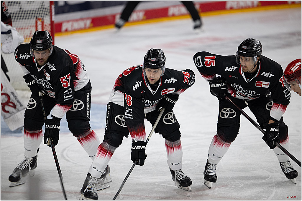 PENNY DEL 1; Kölner Haie - Schwenninger Wild Wings; Köln, 23.11.2025