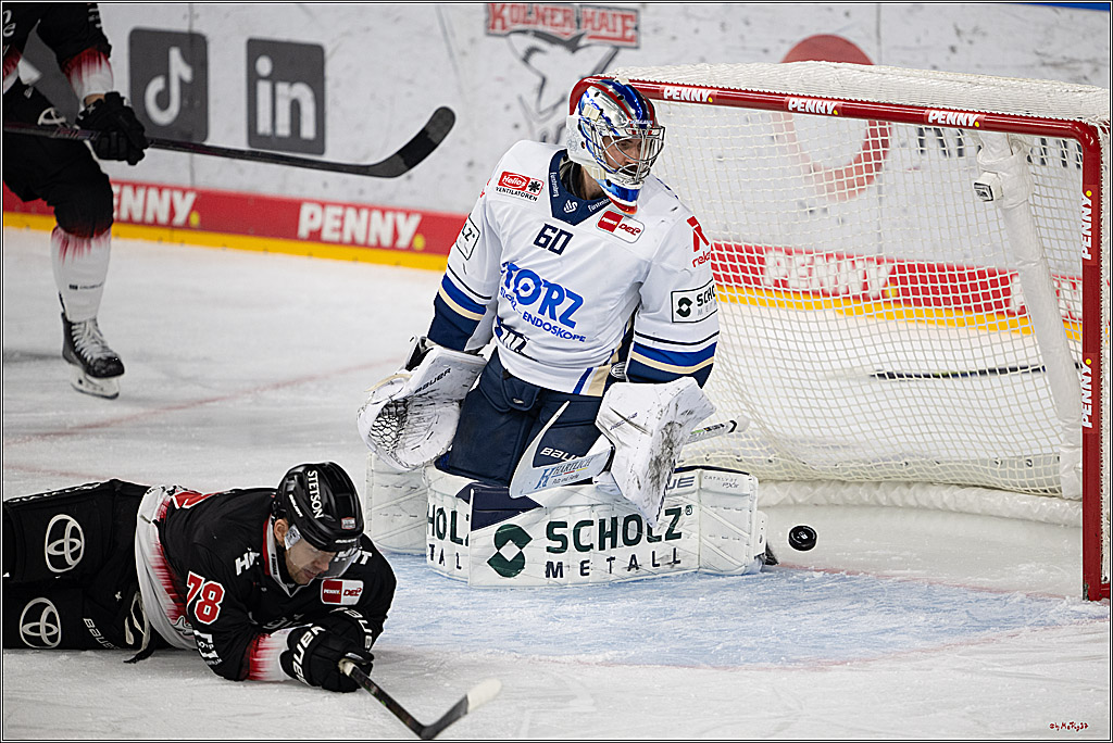 PENNY DEL 1; Kölner Haie - Schwenninger Wild Wings; Köln, 23.11.2025