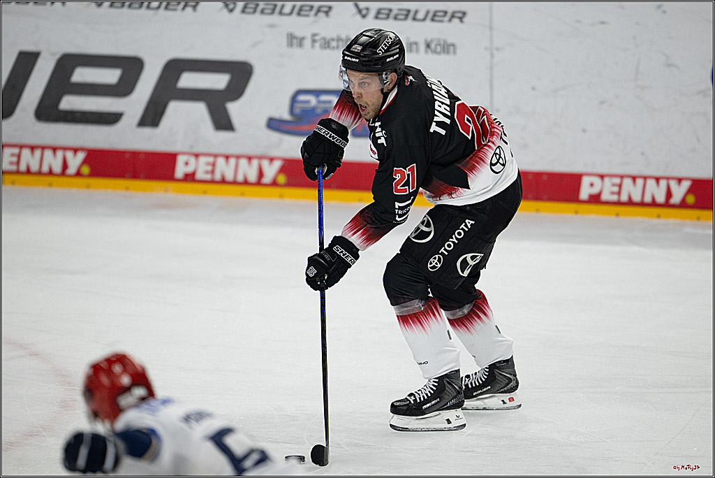 PENNY DEL 1; Kölner Haie - Schwenninger Wild Wings; Köln, 23.11.2025