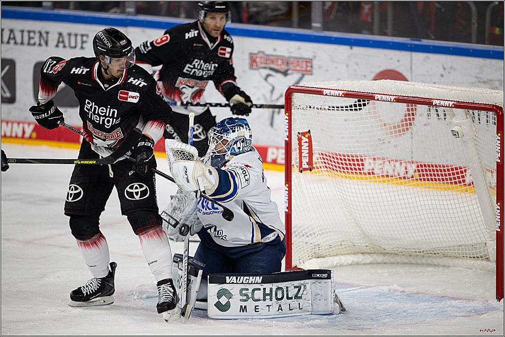 PENNY DEL 1; Kölner Haie - Schwenninger Wild Wings; Köln, 23.11.2025
