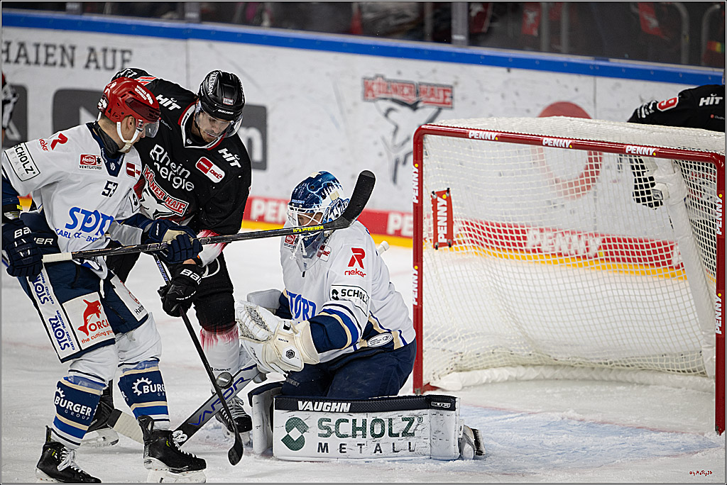 PENNY DEL 1; Kölner Haie - Schwenninger Wild Wings; Köln, 23.11.2025