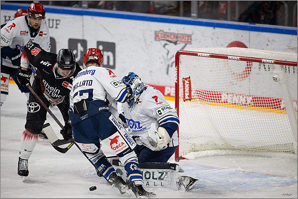 PENNY DEL 1; Kölner Haie - Schwenninger Wild Wings; Köln, 23.11.2025