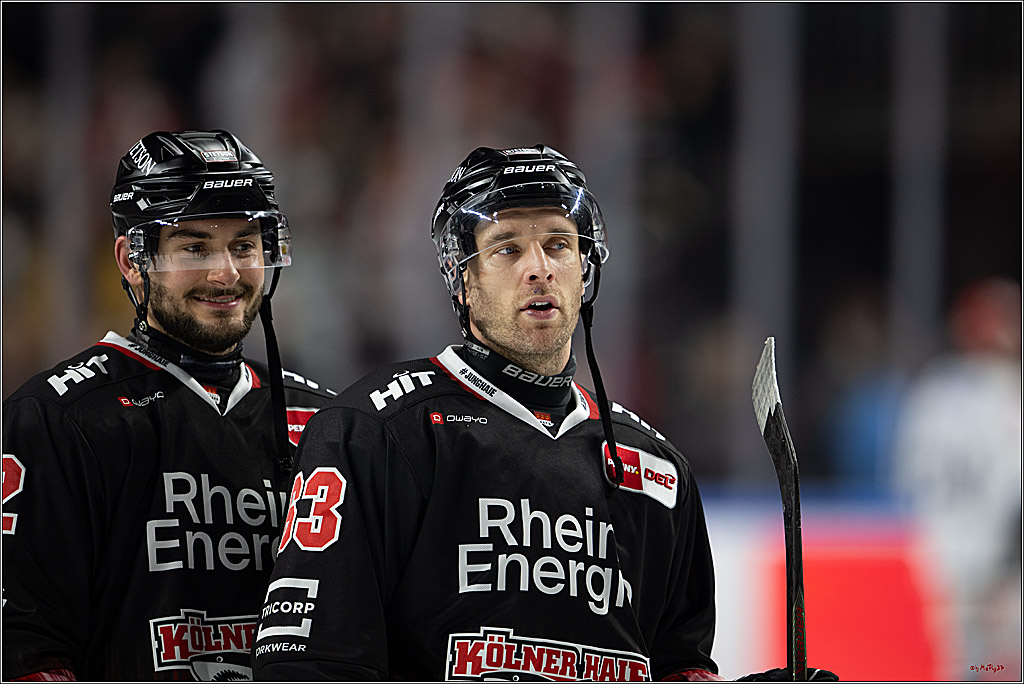 PENNY DEL 1; Kölner Haie - Schwenninger Wild Wings; Köln, 23.11.2025
