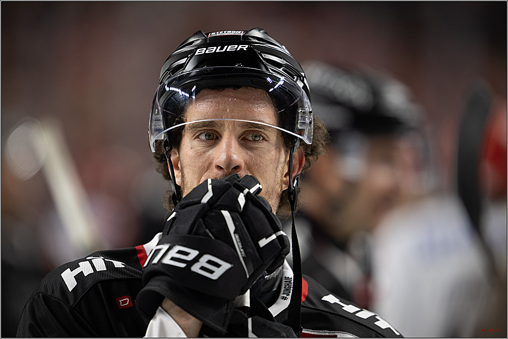 PENNY DEL 1; Kölner Haie - Schwenninger Wild Wings; Köln, 23.11.2025