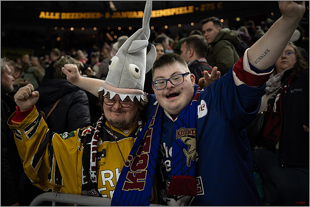 PENNY DEL 1; Kölner Haie - Schwenninger Wild Wings; Köln, 23.11.2025