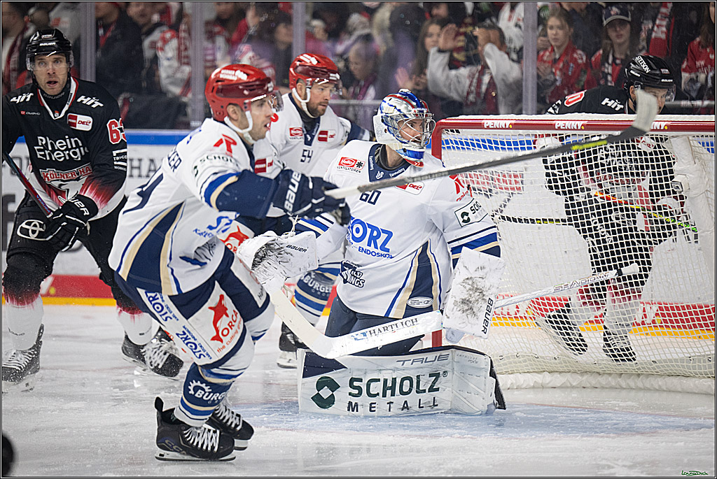 PENNY DEL 1; Kölner Haie - Schwenninger Wild Wings; Koeln, 23.11.2025
