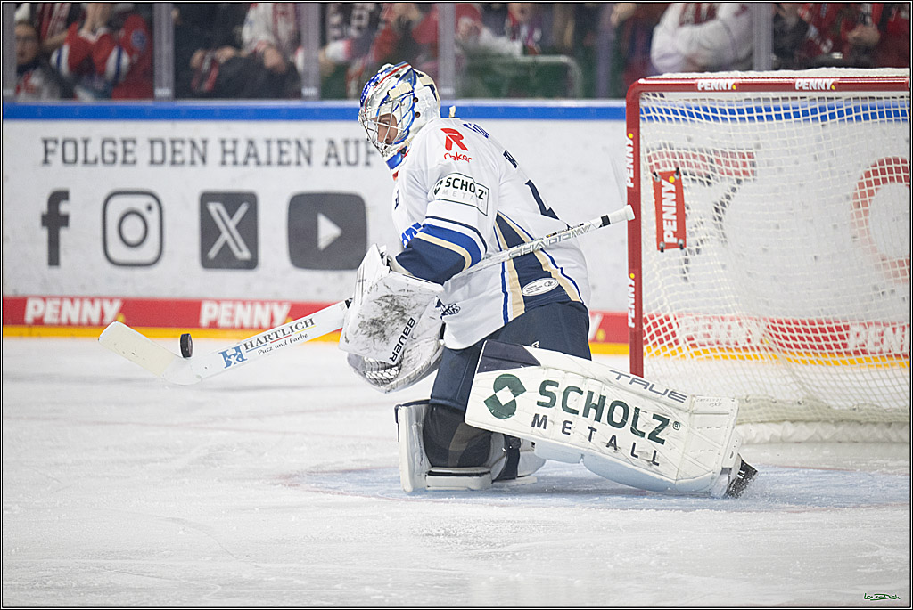 PENNY DEL 1; Kölner Haie - Schwenninger Wild Wings; Koeln, 23.11.2025