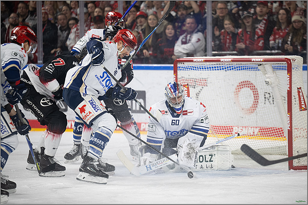 PENNY DEL 1; Kölner Haie - Schwenninger Wild Wings; Koeln, 23.11.2025