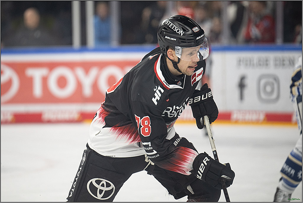 PENNY DEL 1; Kölner Haie - Schwenninger Wild Wings; Koeln, 23.11.2025