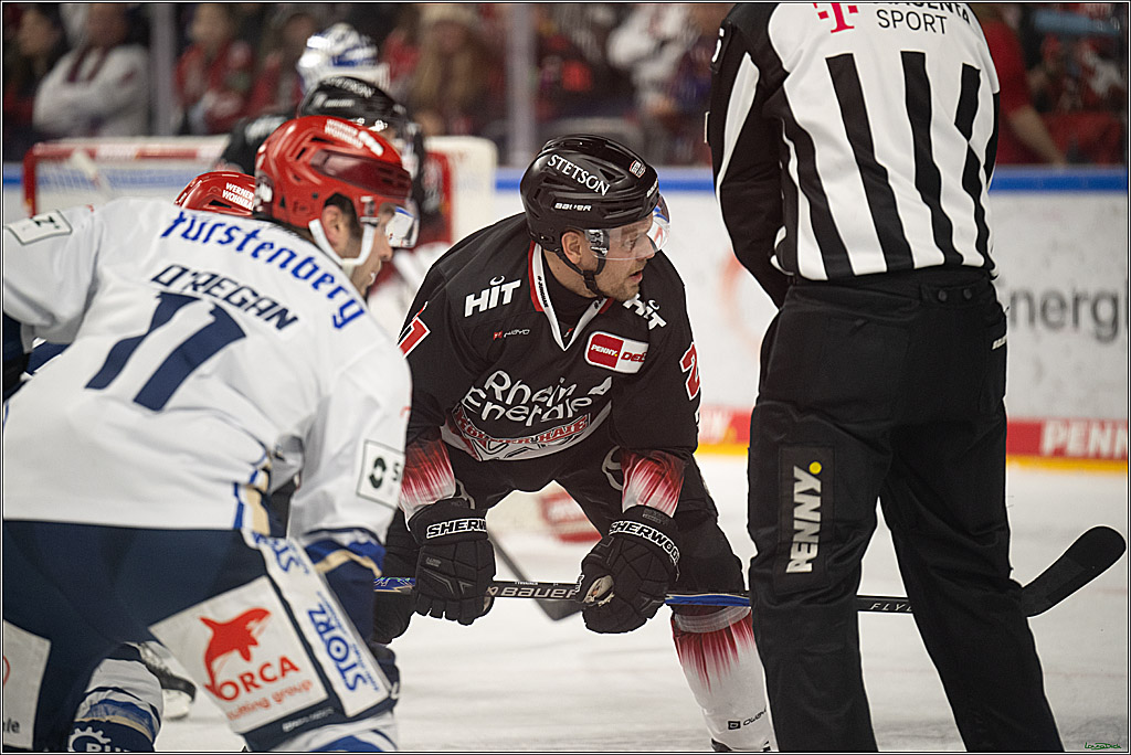 PENNY DEL 1; Kölner Haie - Schwenninger Wild Wings; Koeln, 23.11.2025