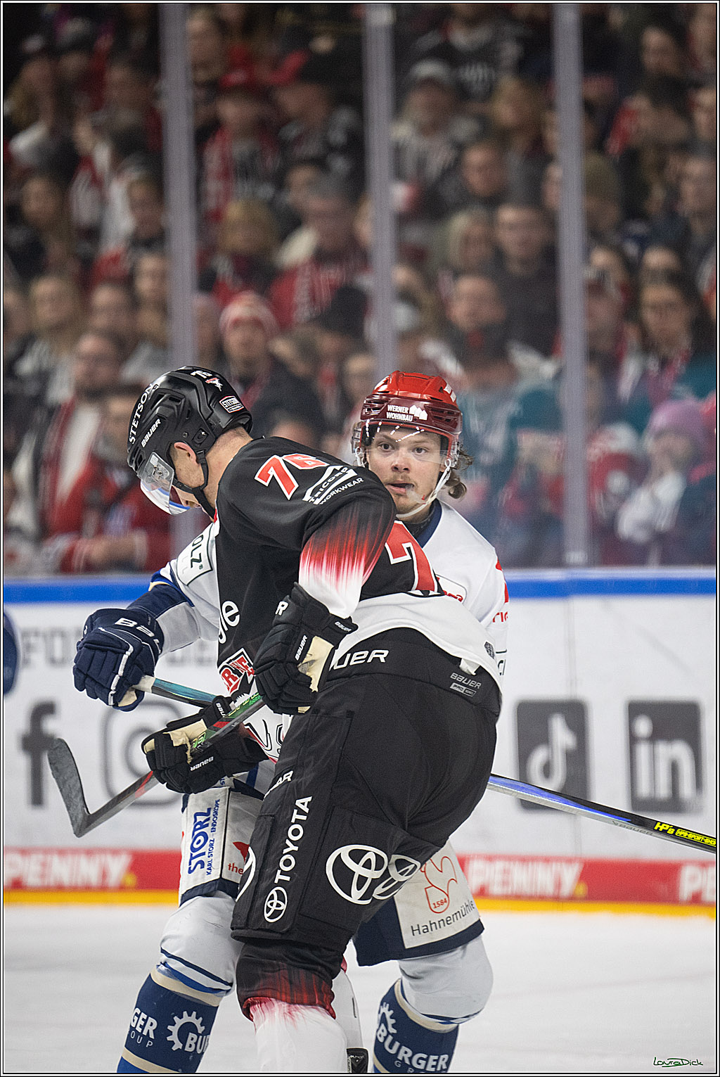 PENNY DEL 1; Kölner Haie - Schwenninger Wild Wings; Koeln, 23.11.2025