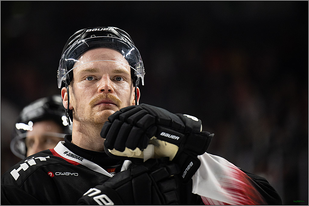 PENNY DEL 1; Kölner Haie - Schwenninger Wild Wings; Koeln, 23.11.2025