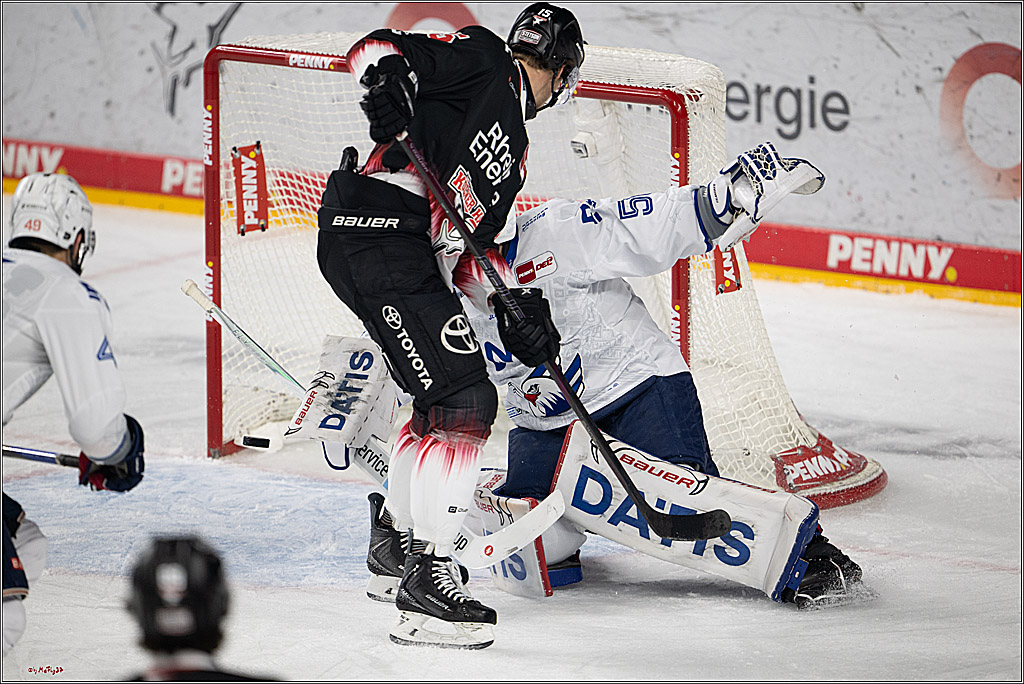PENNY DEL 1; Kölner Haie - Adler Mannheim; Köln, 25.11.2025