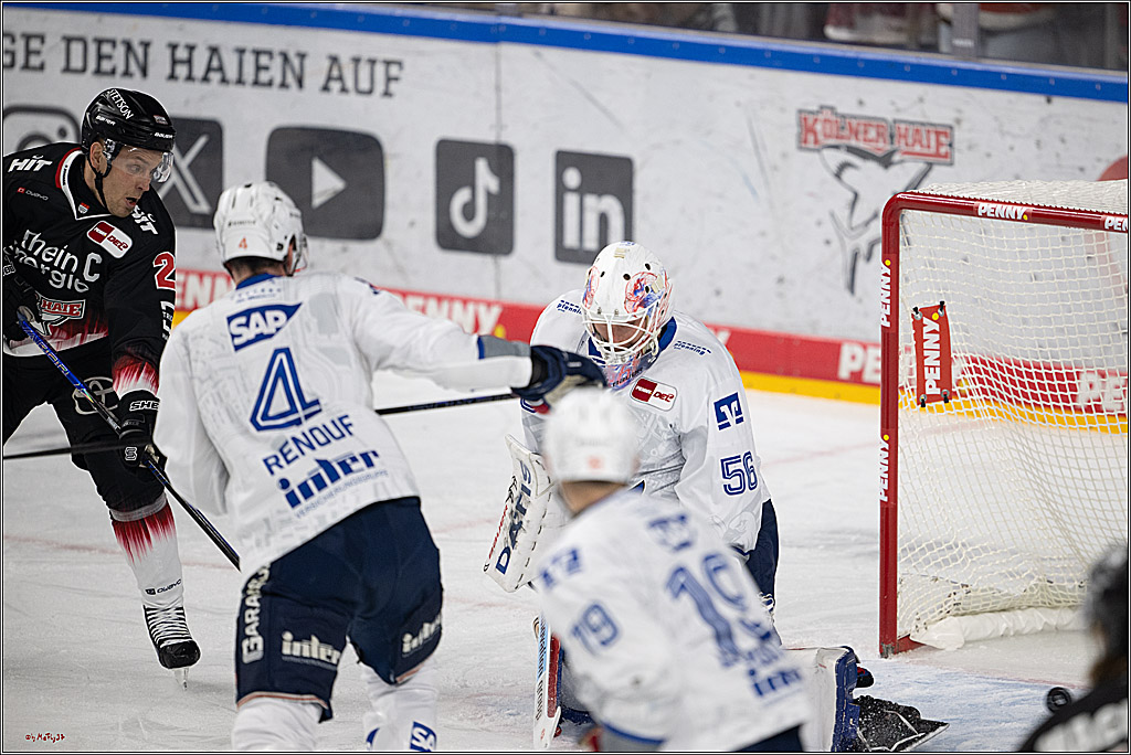 PENNY DEL 1; Kölner Haie - Adler Mannheim; Köln, 25.11.2025