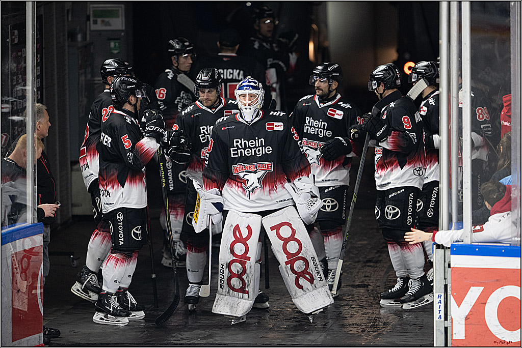 PENNY DEL 1; Kölner Haie - Adler Mannheim; Köln, 25.11.2025