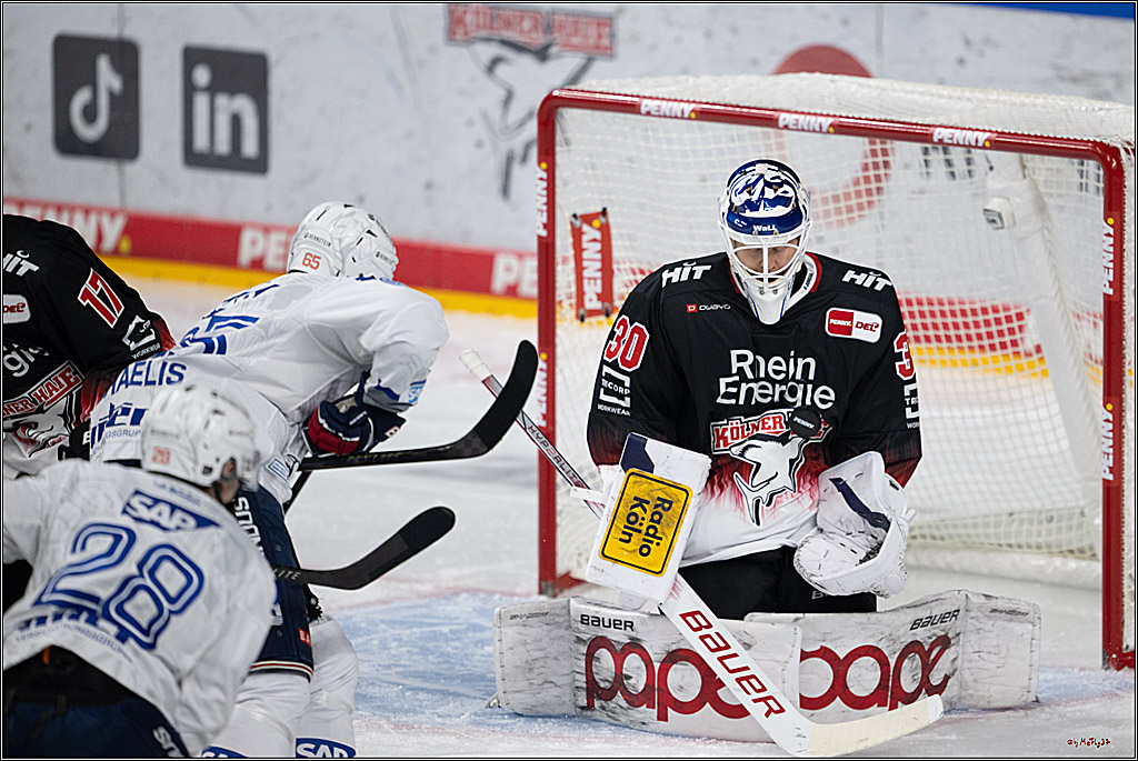 PENNY DEL 1; Kölner Haie - Adler Mannheim; Köln, 25.11.2025