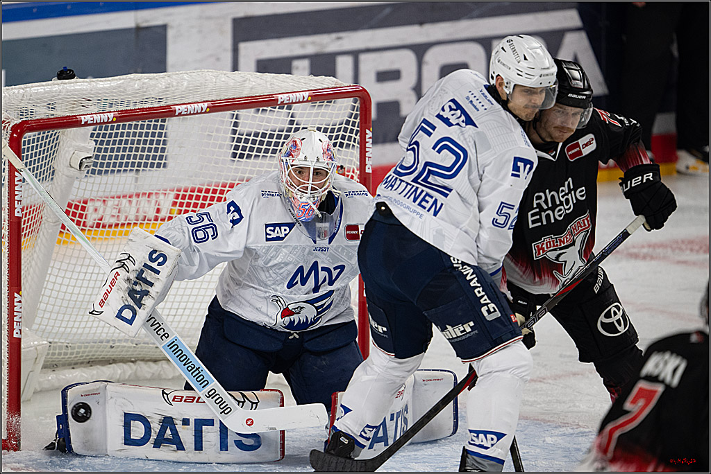 PENNY DEL 1; Kölner Haie - Adler Mannheim; Köln, 25.11.2025