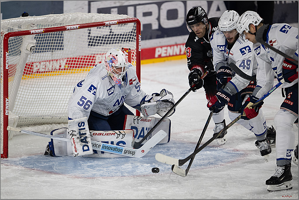 PENNY DEL 1; Kölner Haie - Adler Mannheim; Köln, 25.11.2025