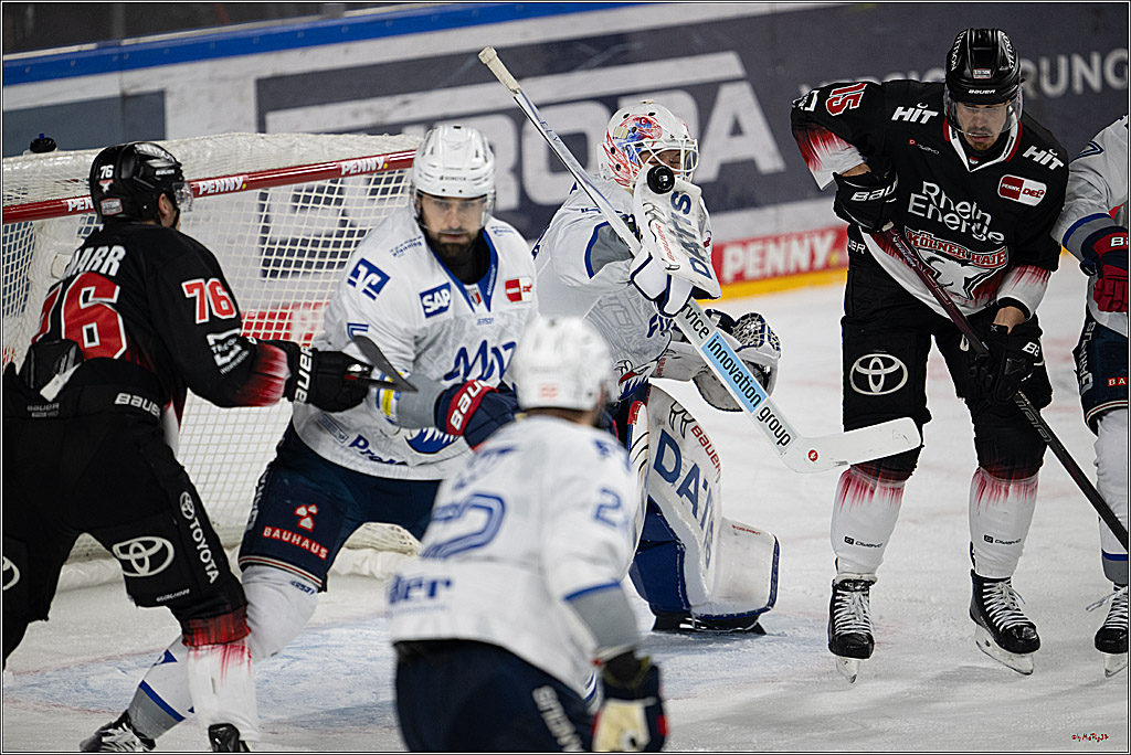 PENNY DEL 1; Kölner Haie - Adler Mannheim; Köln, 25.11.2025