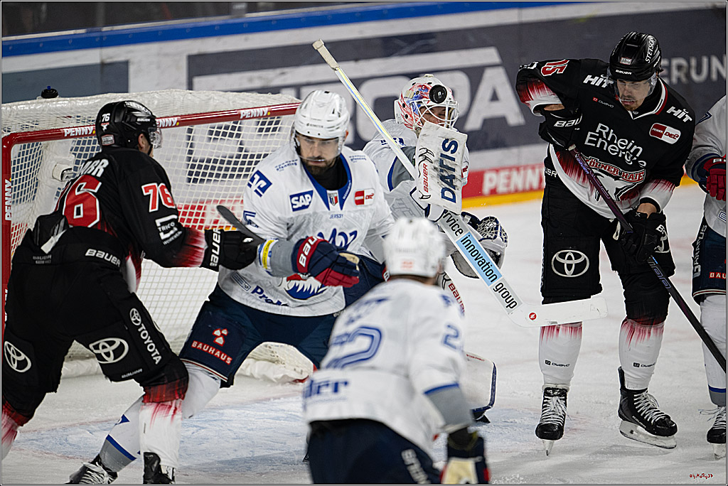 PENNY DEL 1; Kölner Haie - Adler Mannheim; Köln, 25.11.2025