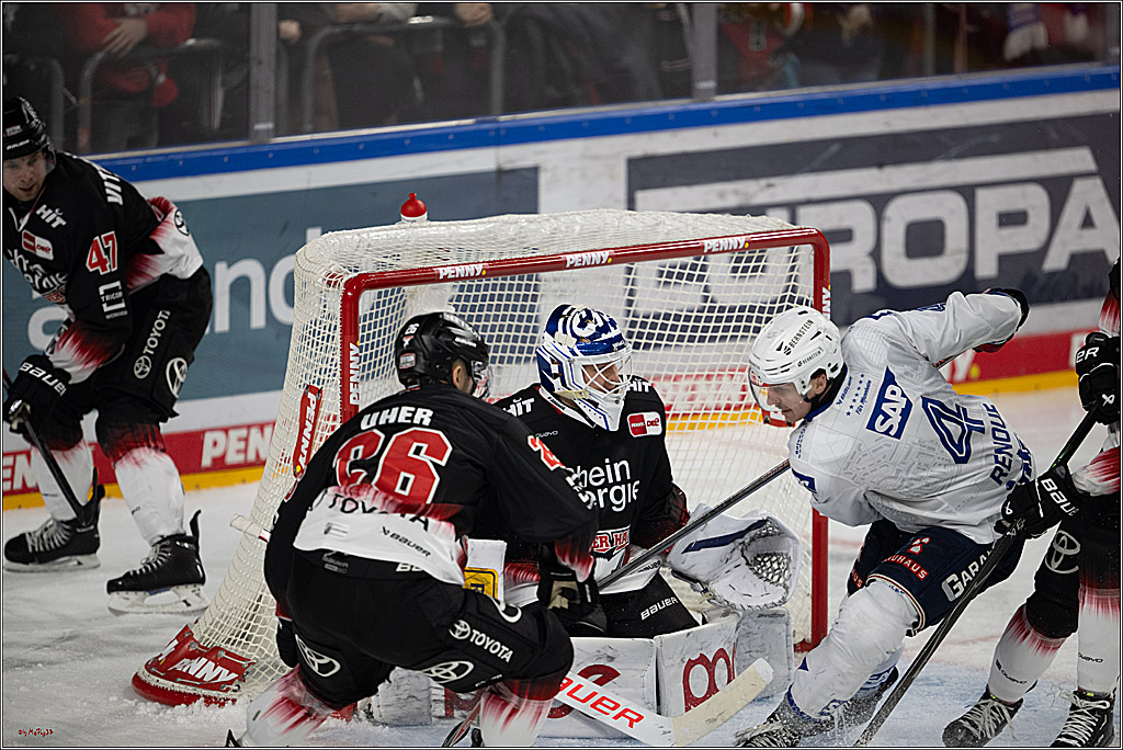 PENNY DEL 1; Kölner Haie - Adler Mannheim; Köln, 25.11.2025