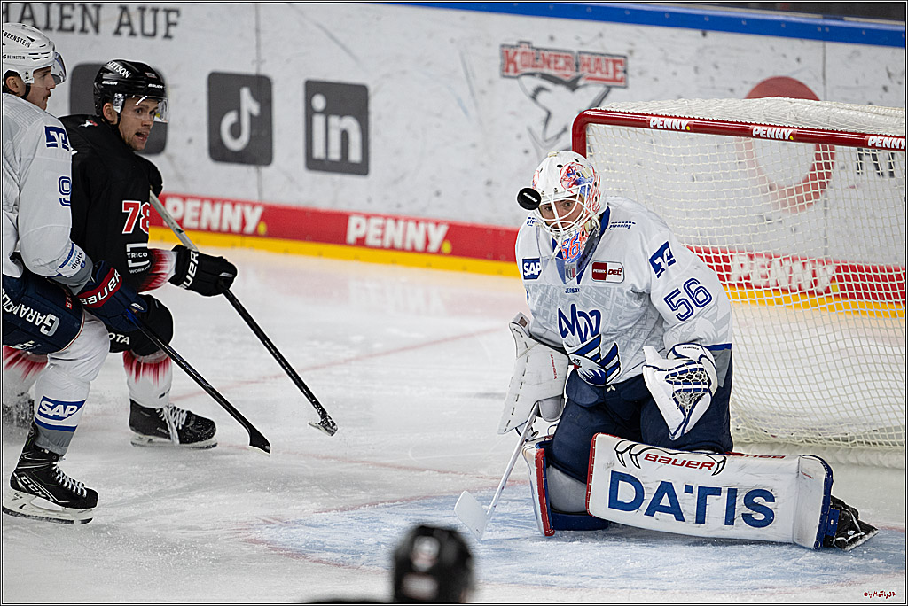 PENNY DEL 1; Kölner Haie - Adler Mannheim; Köln, 25.11.2025