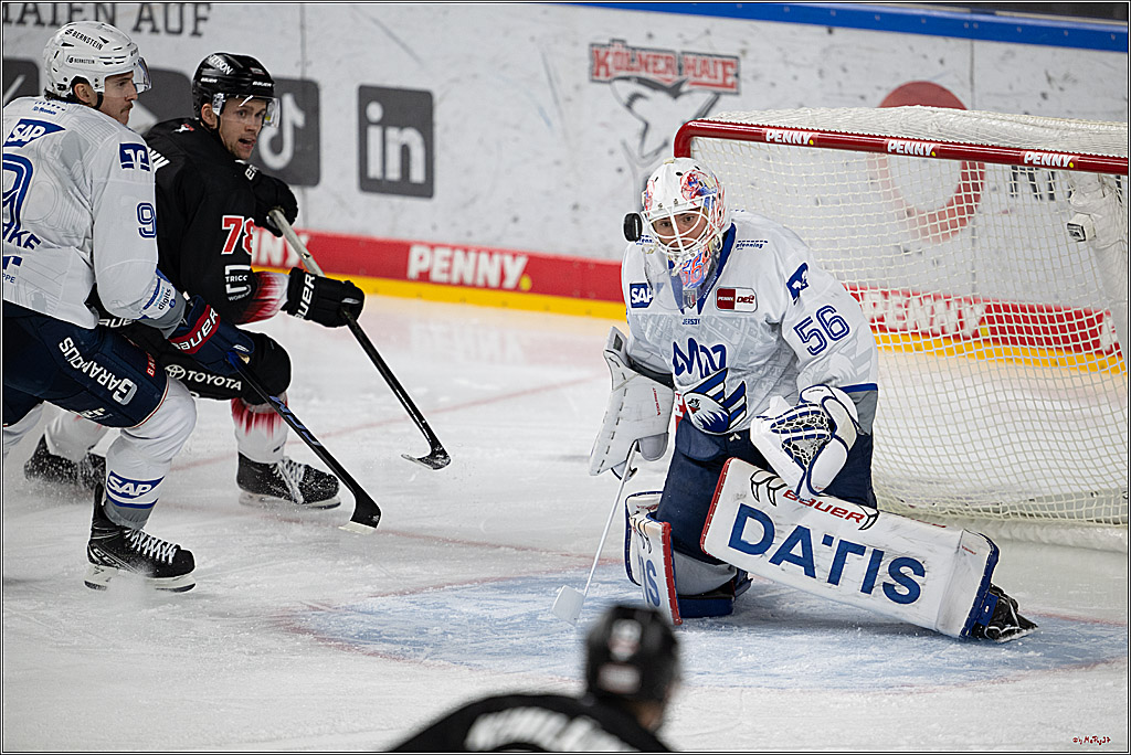 PENNY DEL 1; Kölner Haie - Adler Mannheim; Köln, 25.11.2025
