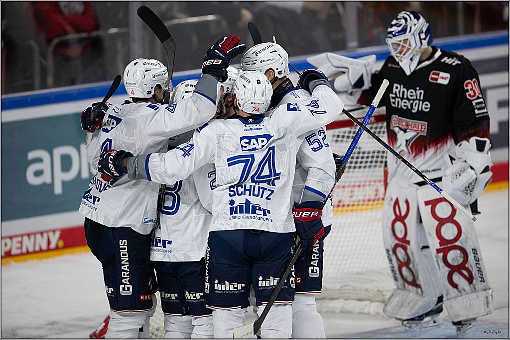 PENNY DEL 1; Kölner Haie - Adler Mannheim; Köln, 25.11.2025
