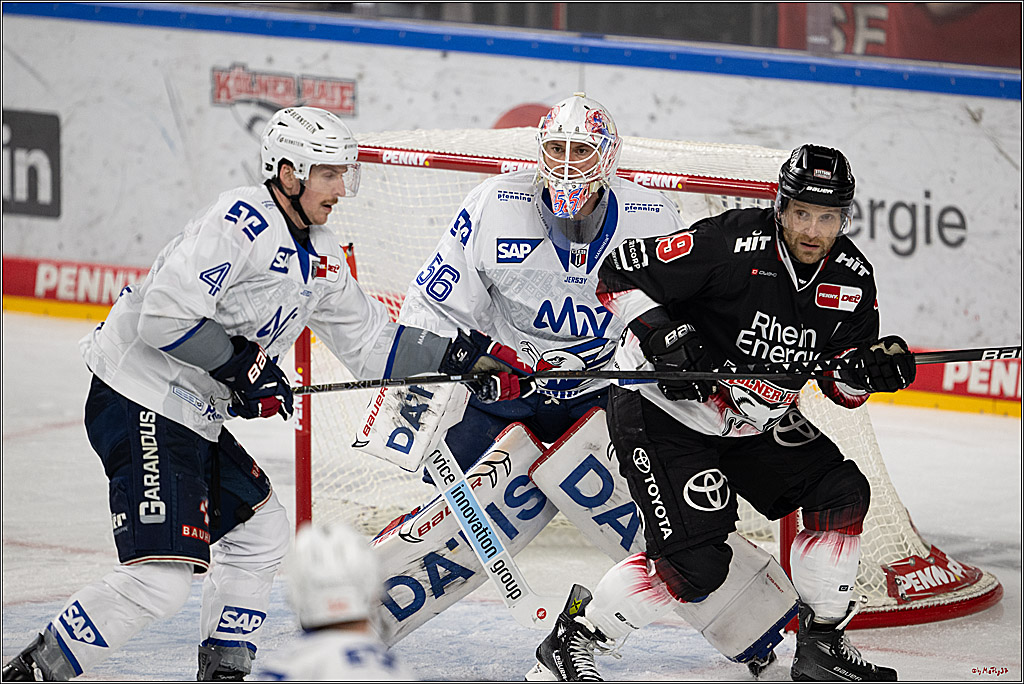 PENNY DEL 1; Kölner Haie - Adler Mannheim; Köln, 25.11.2025