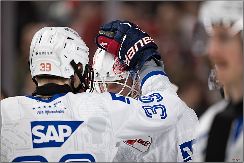 PENNY DEL 1; Kölner Haie - Adler Mannheim; Köln, 25.11.2025