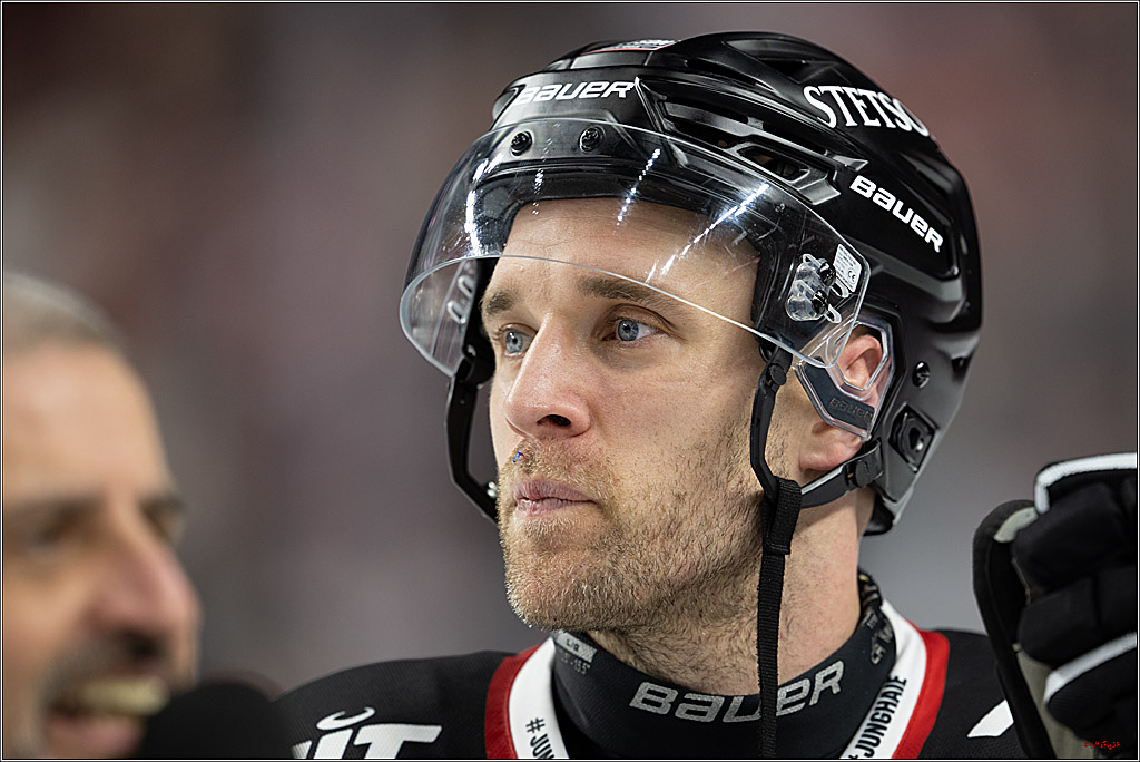 PENNY DEL 1; Kölner Haie - Adler Mannheim; Köln, 25.11.2025