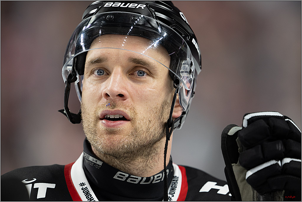 PENNY DEL 1; Kölner Haie - Adler Mannheim; Köln, 25.11.2025