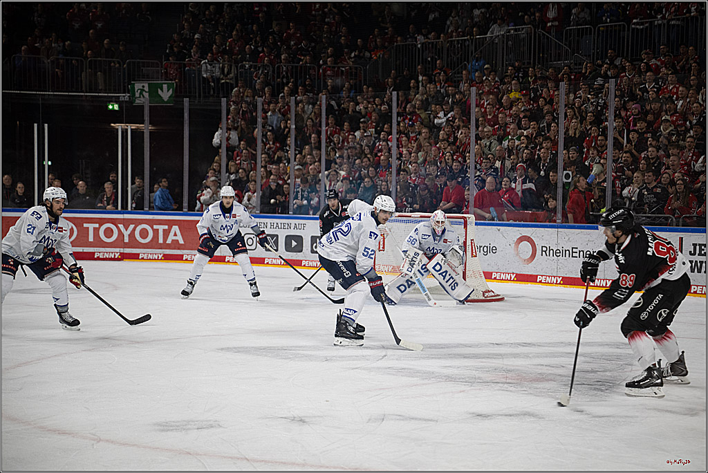 PENNY DEL 1; Kölner Haie - Adler Mannheim; Köln, 25.11.2025