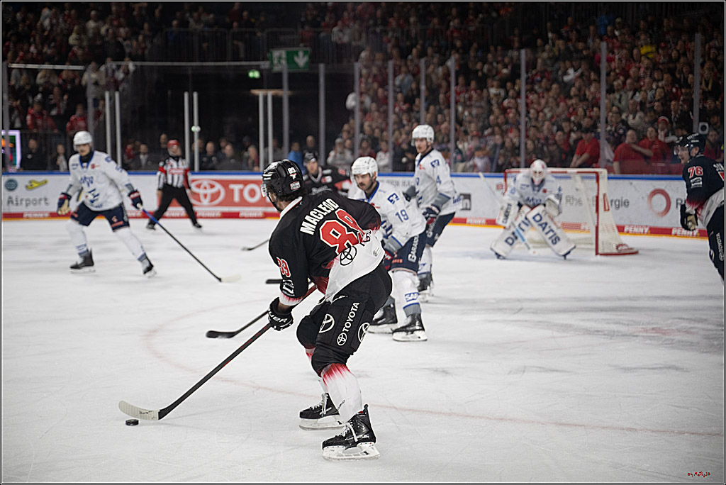 PENNY DEL 1; Kölner Haie - Adler Mannheim; Köln, 25.11.2025