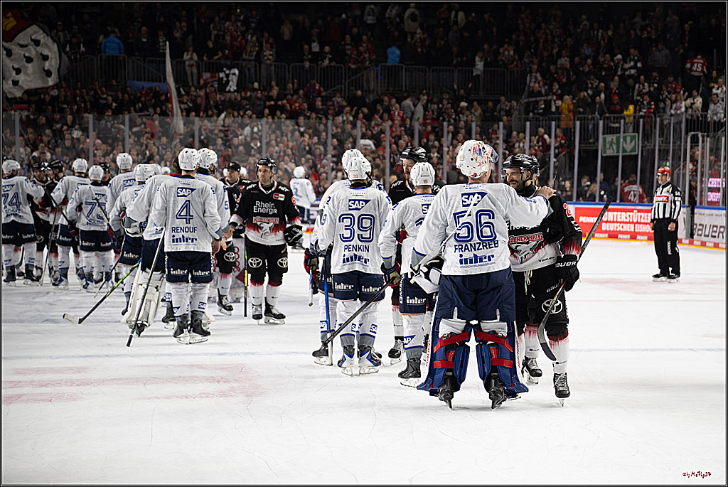 PENNY DEL 1; Kölner Haie - Adler Mannheim; Köln, 25.11.2025