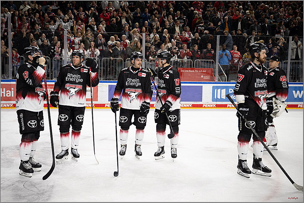 PENNY DEL 1; Kölner Haie - Adler Mannheim; Köln, 25.11.2025