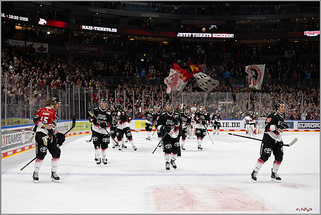 PENNY DEL 1; Kölner Haie - Adler Mannheim; Köln, 25.11.2025