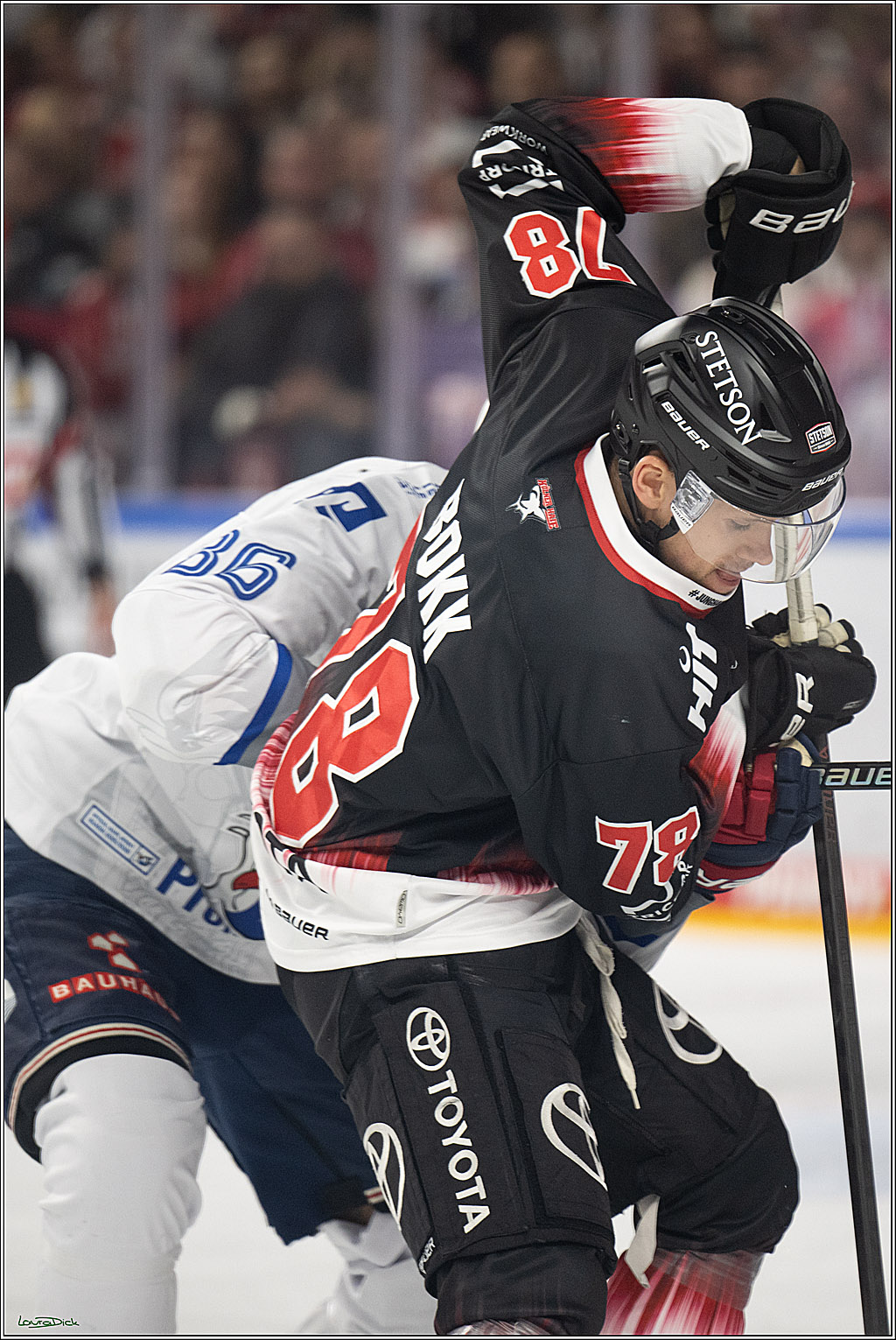 PENNY DEL 1; Kölner Haie - Adler Mannheim; Köln, 25.11.2025